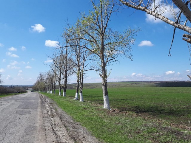 IMG 20210424 WA0016